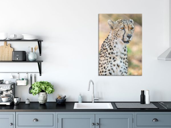 ausgewachsener Gepard, Glasbild Mode – Bild 3