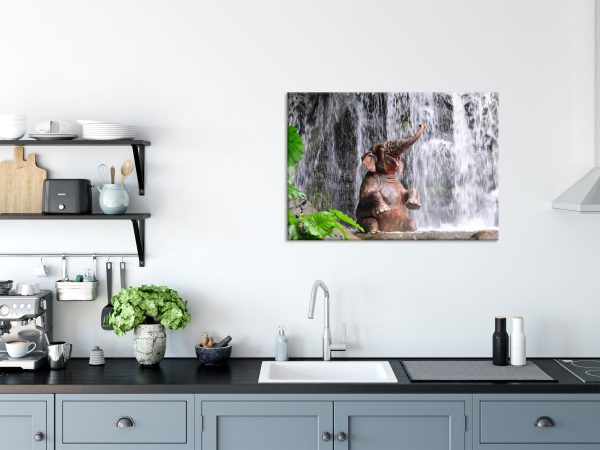 Babyelefant am Wasserfall, Glasbild Zu verkaufen – Bild 3
