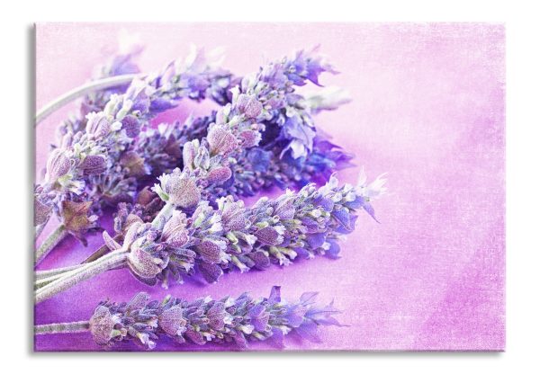 getrockneter Lavendel, Glasbild Angebot