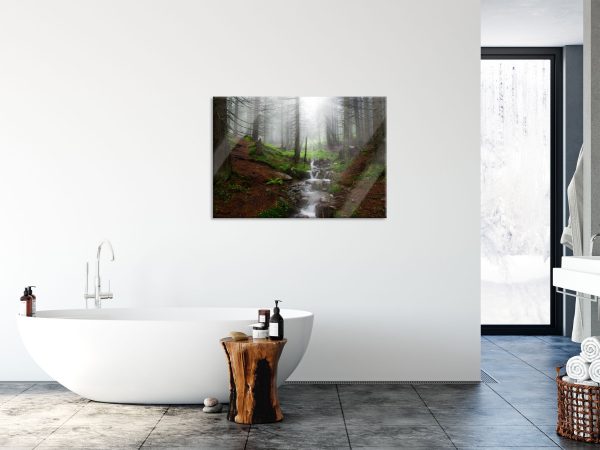 Bach im Wald, Glasbild Online – Bild 4