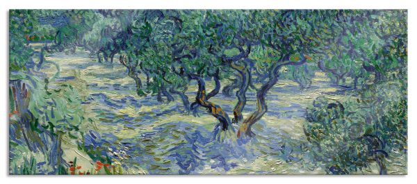 Vincent Van Gogh - Oliven-Feld , Glasbild Panorama Zu verkaufen