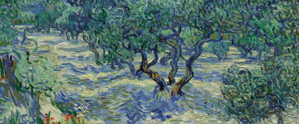 Vincent Van Gogh - Oliven-Feld , Glasbild Panorama Zu verkaufen – Bild 5